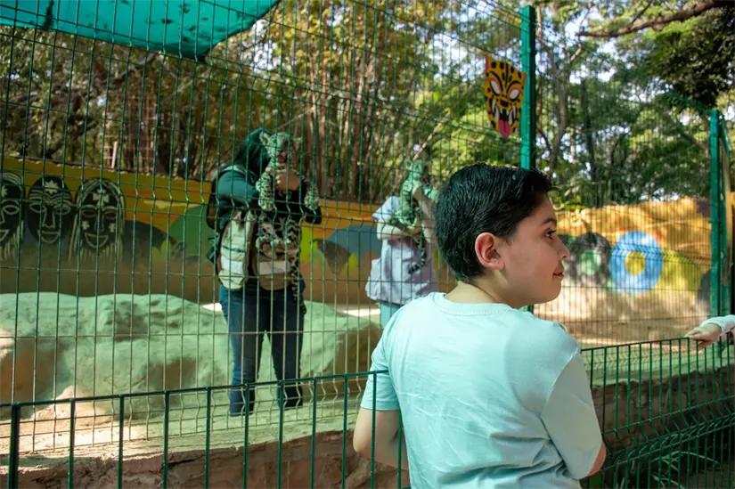 Con talleres, recorridos y espacios de aprendizaje, Culiacán se unió al Día Internacional del Jaguar para promover la conservación de este felino emblemático. Foto: Ayuntamiento de Culiacán