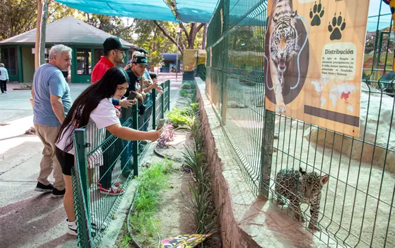 Zoológico de Culiacán celebra el Día del Jaguar con talleres infantiles, arte y educación ambiental