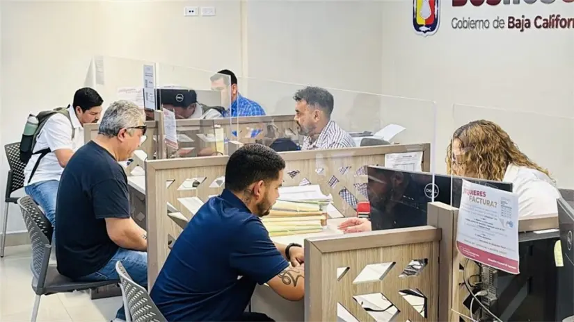 50% de descuento en renovación de licencias de conducir en Baja California Sur. Foto: Cortesía