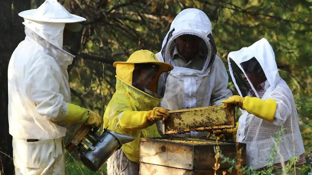Se busca que la actividad crezca y no se estanque. Foto: El Sol de Puebla