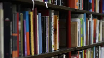 ¿Cuál es la diferencia entre un Contador Público y un Licenciado en Contabilidad?