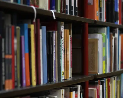 ¿Cuál es la diferencia entre un Contador Público y un Licenciado en Contabilidad?