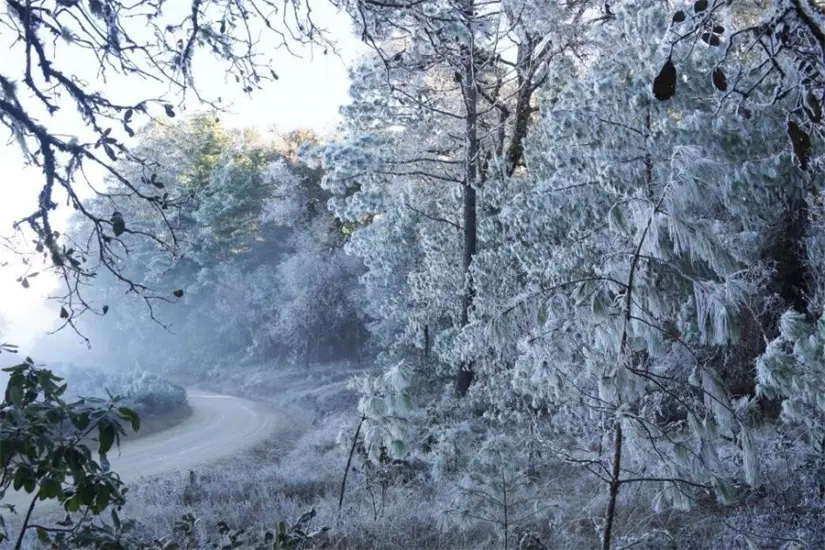 Ixtlán de Juárez, el mejor lugar para visitar en invierno. Foto: Cortesía.