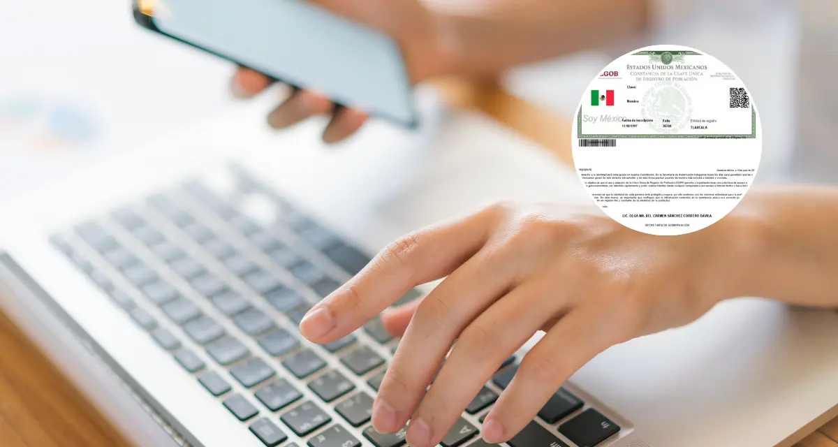 De esta manera puedes identificar si tu CURP está certificada. Foto: Freepik.