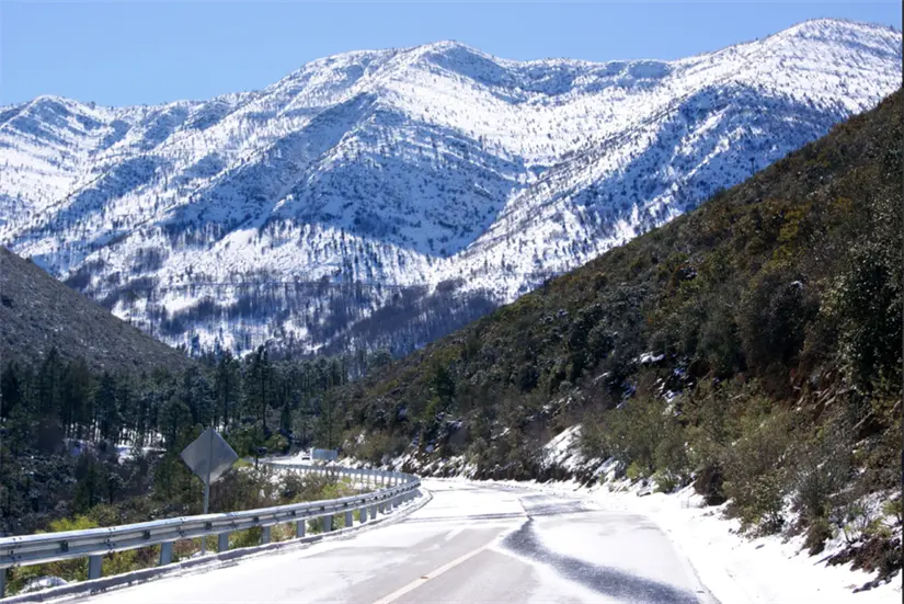 Disfruta de la nieve en Arteaga, Coahuila. Foto: cortesía.