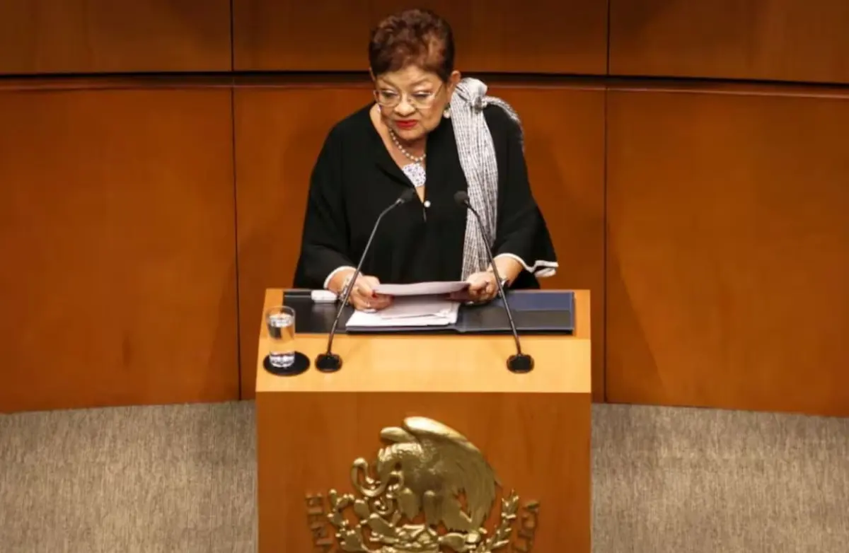 Ernestina Godoy ante el pleno del Senado.
