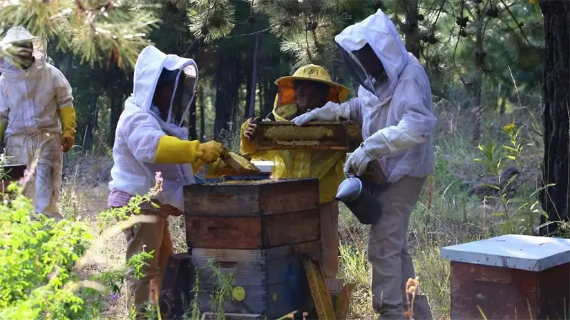 Buscan que esta actividad no se pierda. Foto: El Sol de Puebla
