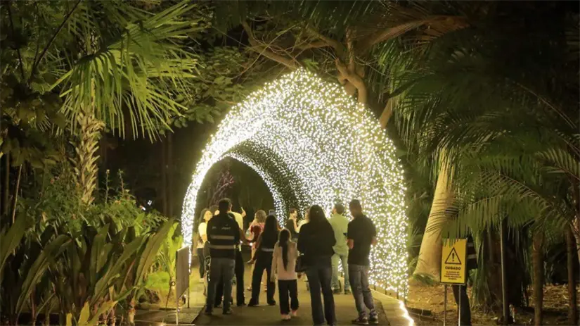 Disfruta con amigos, familia o pareja el Jardín Botánico iluminado. Foto: cortesía.
