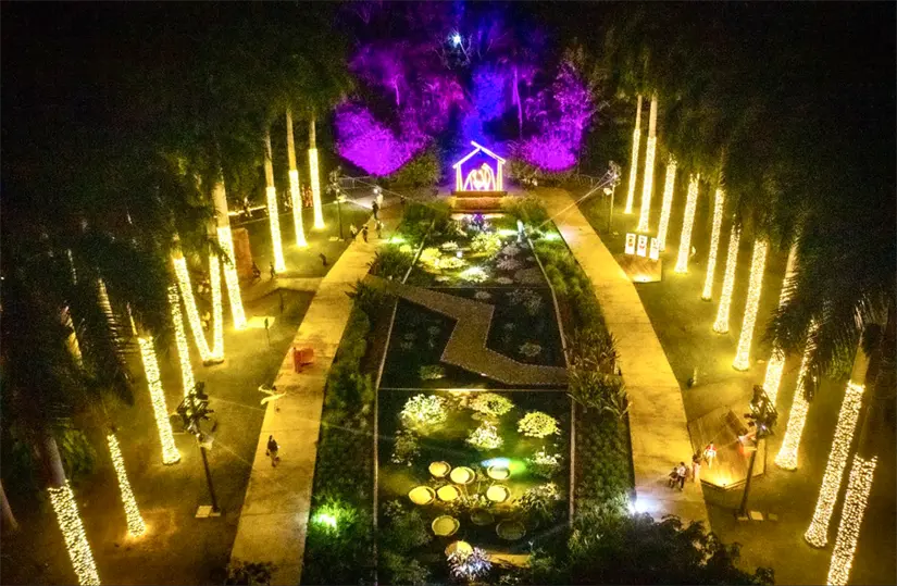 Disfruta con amigos, familia o pareja el Jardín Botánico iluminado. Foto: cortesía.