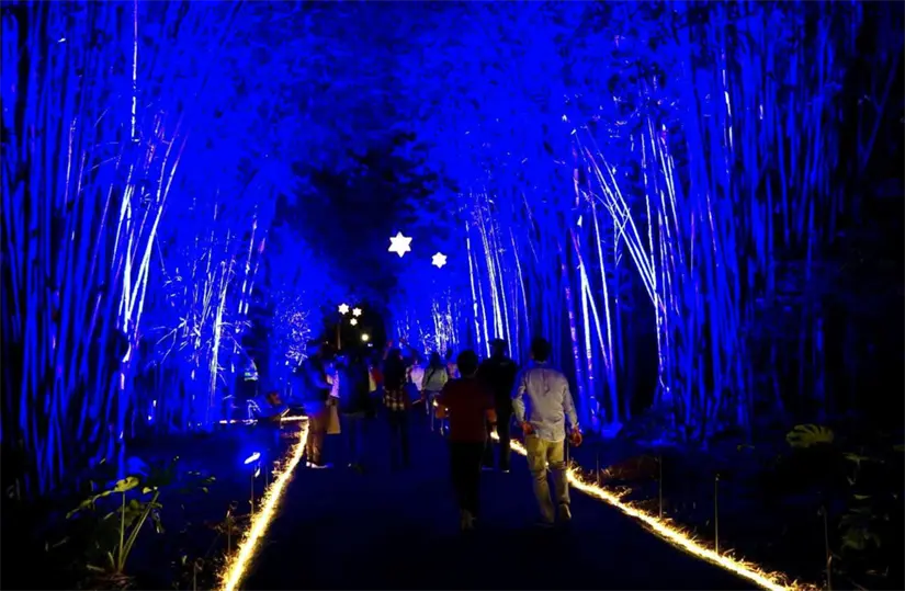 Disfruta con amigos, familia o pareja el Jardín Botánico iluminado. Foto: cortesía.