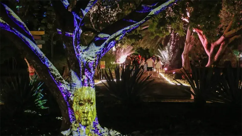 Disfruta con amigos, familia o pareja el Jardín Botánico iluminado. Foto: cortesía.