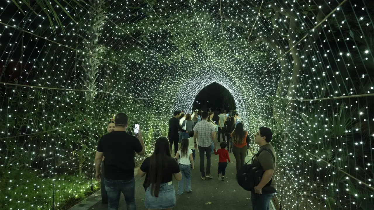 Disfruta un fin de semana lleno de actividades navideñas en Culiacán. Foto: cortesía