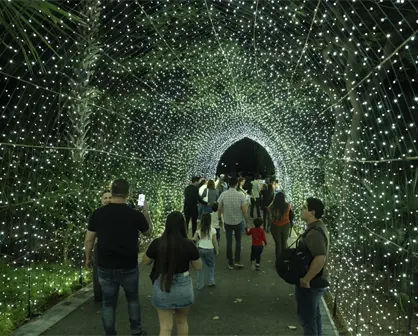 3 planes imperdibles para vivir la magia de la Navidad en Culiacán este fin de semana