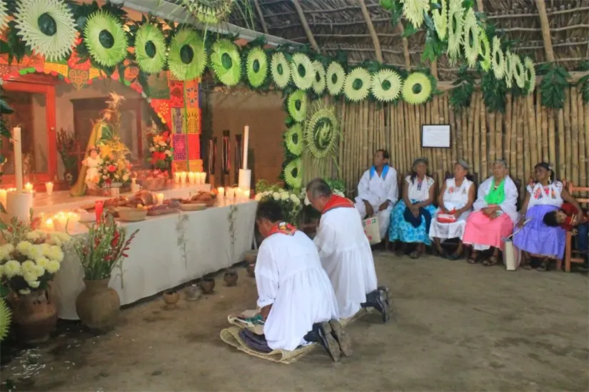 Rituales, costumbres y organización comunitaria totonaca enriquecen la vida cultural de Villa Juárez y su región agrícola. Foto Hablemos de Culturas
