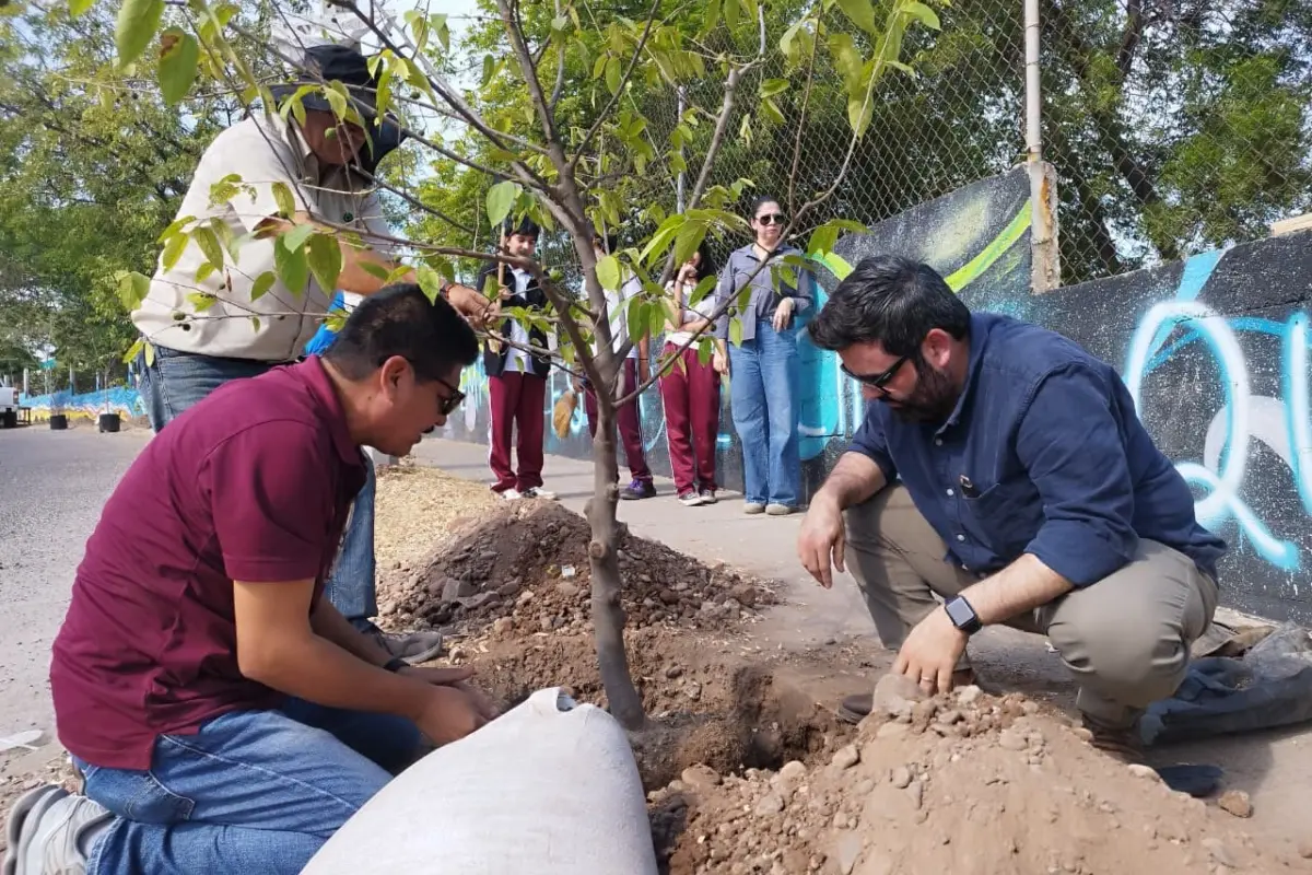 Mapasin y aliados plantan árboles en la ETI 90 de Santa Fe para ofrecer sombra, seguridad y bienestar a estudiantes que transitan diariamente en su entorno escolar.