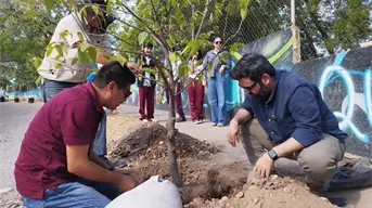 Por un Culiacán más verde: Plantan sombra y bienestar para estudiantes de la ETI 90 en Santa Fe