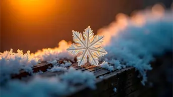 ¿Cuándo empieza el invierno en México? Fecha del solsticio de invierno 2025