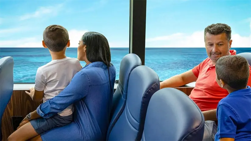 Sigue estas recomendaciones y disfruta tu viaje. Foto: Cortesía.