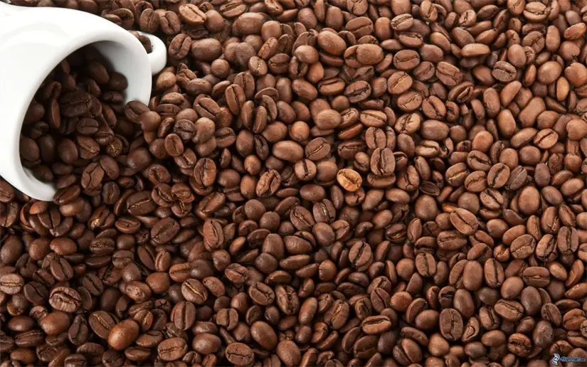 Chiapas tiene el considerado mejor café de México. Foto: Cortesía