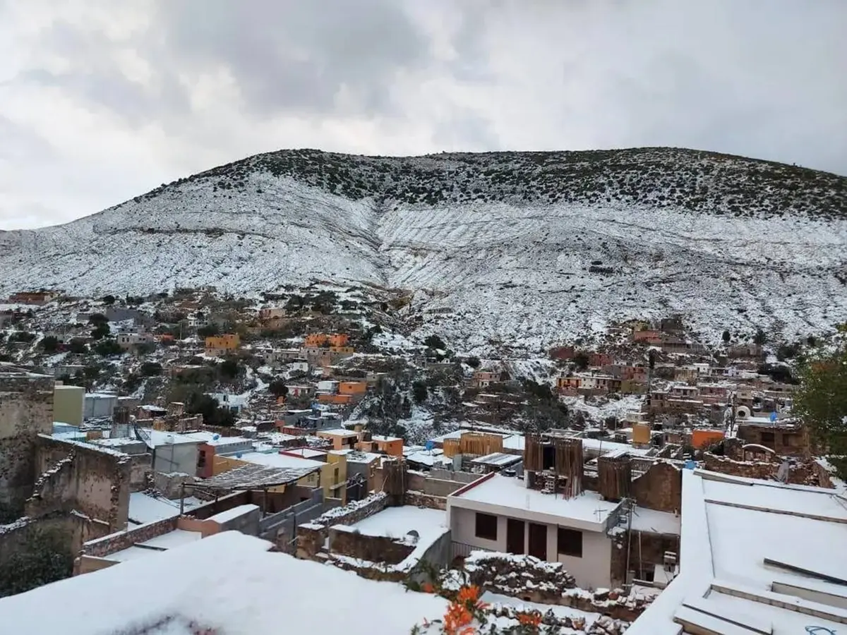 ¿Dónde ver nieve en San Luis Potosí?. Foto: Cortesía.