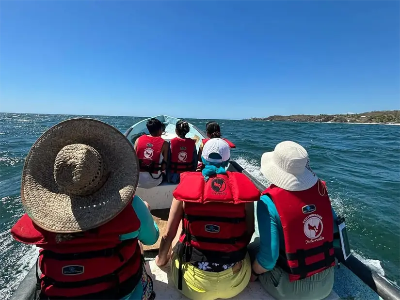 Reportan avistamientos de ballenas jorobadas en Michoacán. Foto: Cortesía