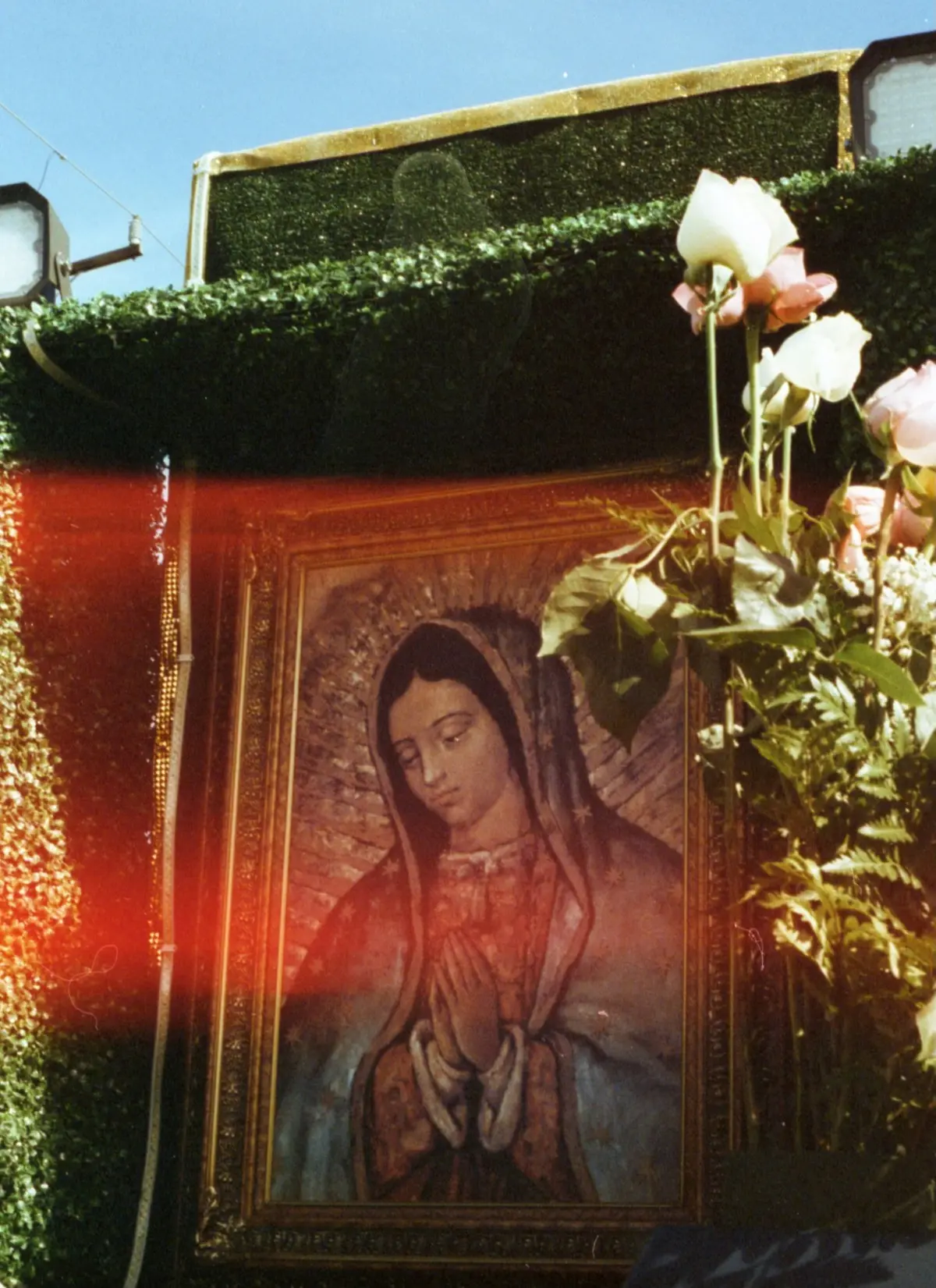 Cada 12 de diciembre se celebra a la Virgen de Guadalupe. Foto: Unsplash. 