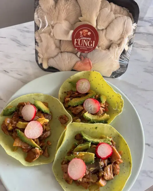 Disfruta de platillos que nunca pensaste que podrías hacer con setas. Foto: cortesía.