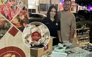 Sonora Fungi, el proyecto que cultiva setas en el desierto y busca transformar la mesa sonorense