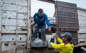 Culiacán refuerza acciones contra el dengue con jornada de descacharrización en la colonia 10 de Mayo