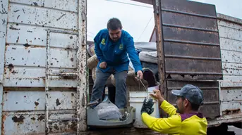 Culiacán refuerza acciones contra el dengue con jornada de descacharrización en la colonia 10 de Mayo