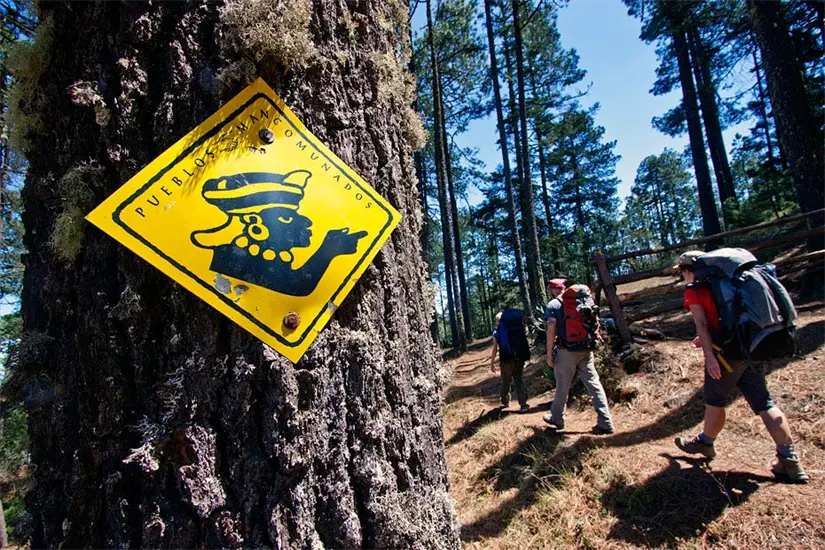 Son ocho los Pueblos Mancomunados existentes en Oaxaca. Foto: Cortesía.
