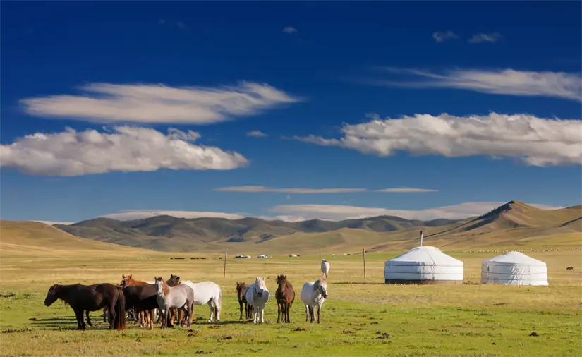 Conoce Mongolia. Foto: Cortesía