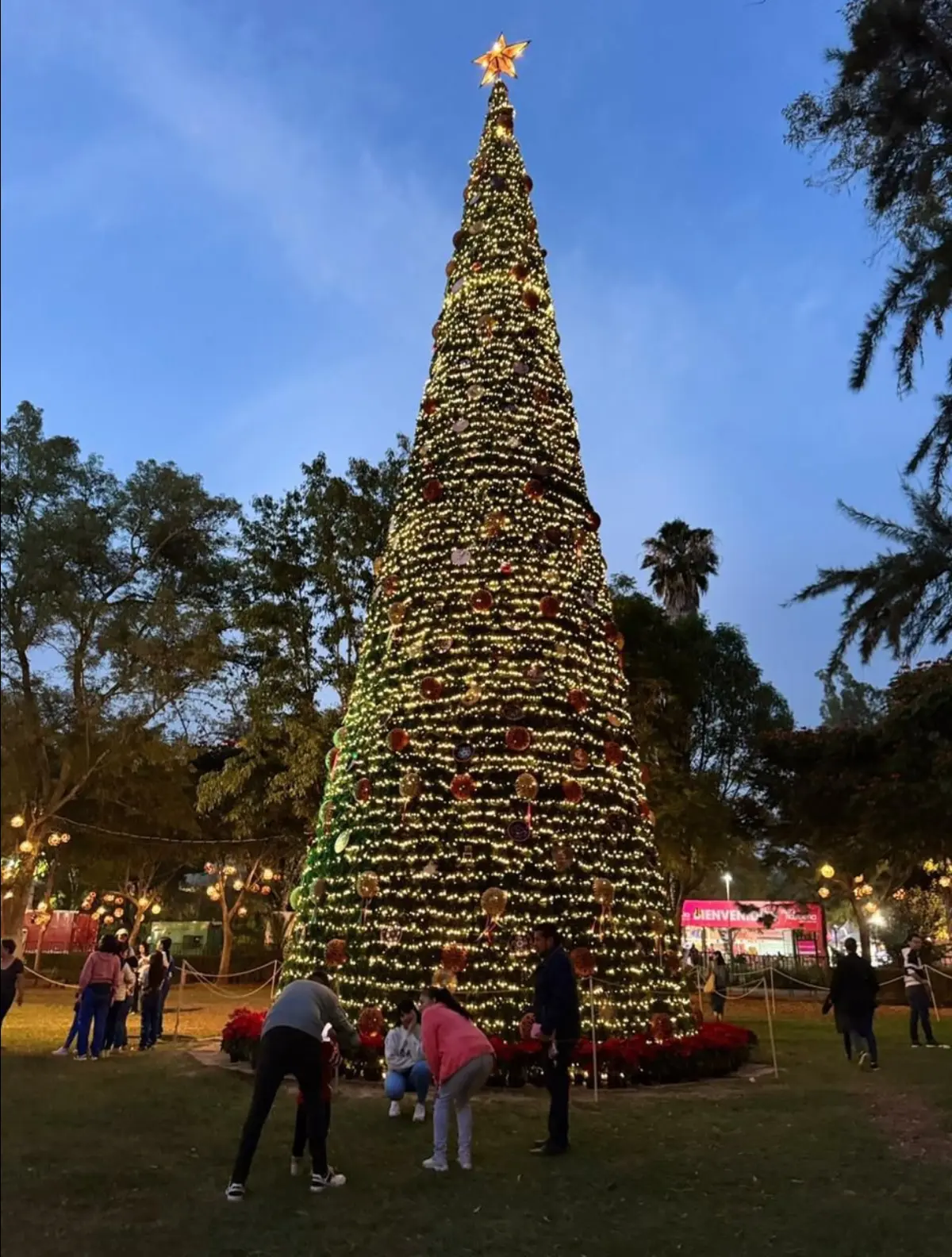 Toma lindas fotos navideñas en el gran árbol de navidad en la Villa Navideña de Morelia. Foto: cortesía.