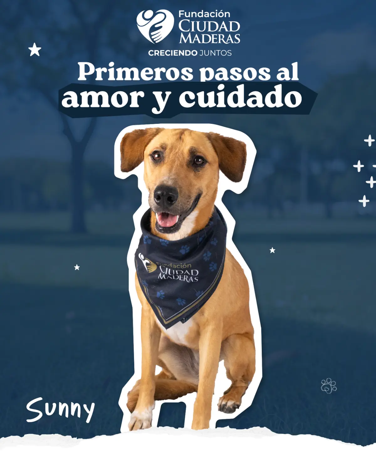 Ciudad Maderas también busca el bienestar animal. Foto: Facebook Fundación Ciudad Maderas.