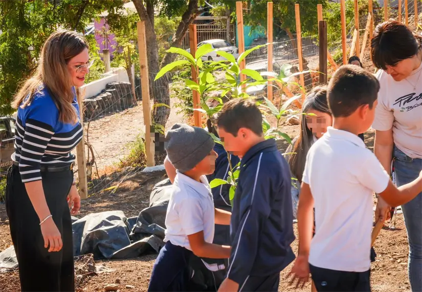 Primaria Valentín Gómez Farías en Culiacán impulsa conciencia ambiental. Foto: SEBIDES