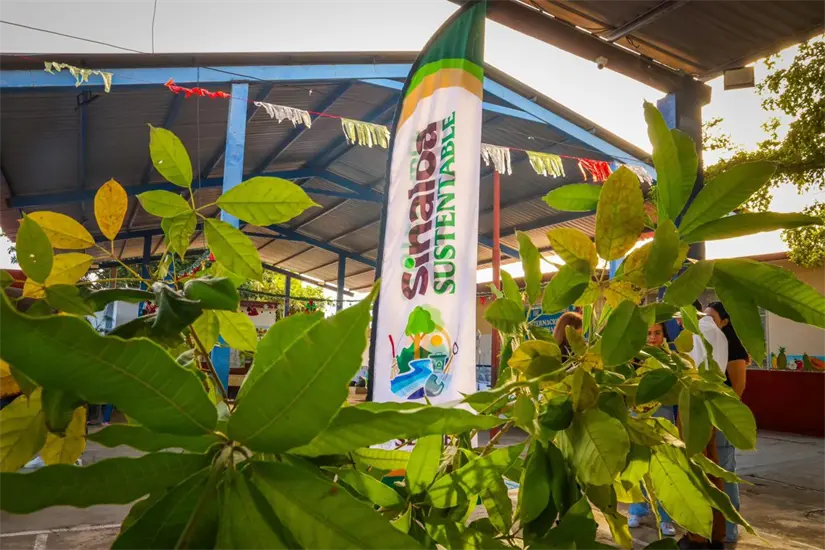 Más de 30 mil participantes se unen a una iniciativa que transforma comunidades. Foto: SEBIDES