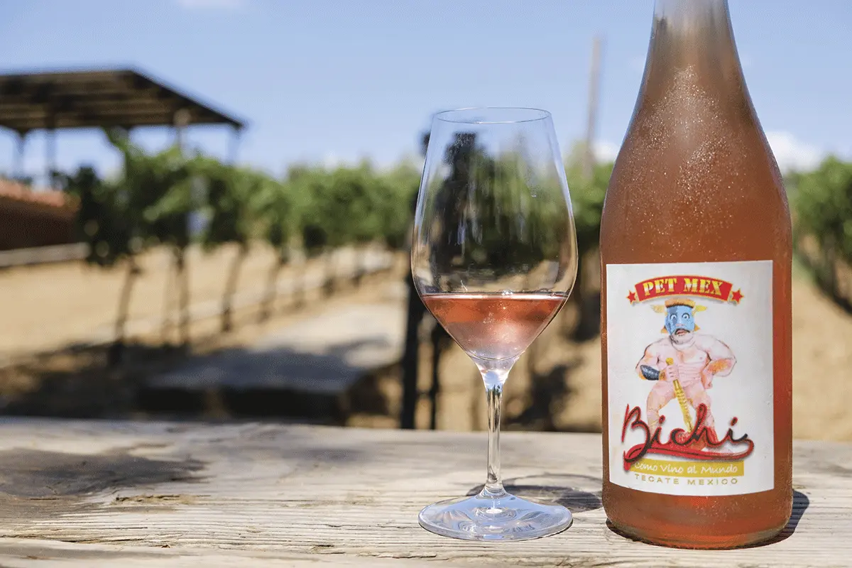 Disfruta de los diversos atractivos turísticos de Tecate. Foto: México desconocido.