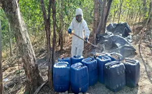 Decomiso millonario en Sinaloa: aseguran 5 mil litros y 650 kilos de precursores para metanfetamina