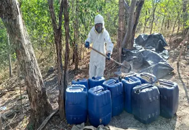 Decomiso millonario en Sinaloa: aseguran 5 mil litros y 650 kilos de precursores para metanfetamina