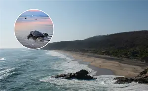 Mazunte, Sayulita y Todos Santos: tres joyas mexicanas para vivir el milagro del nacimiento de tortugas
