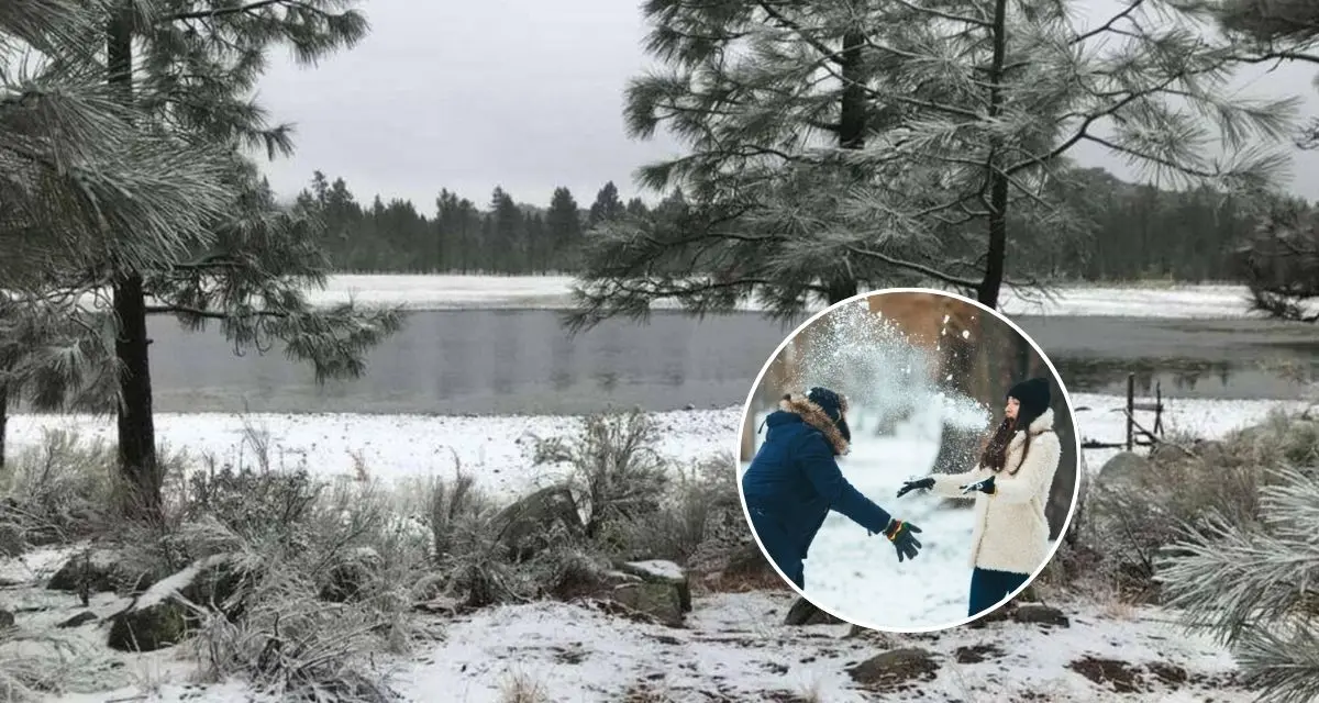 Estos son los lugares para ver nieve en Baja California. Foto: cortesía