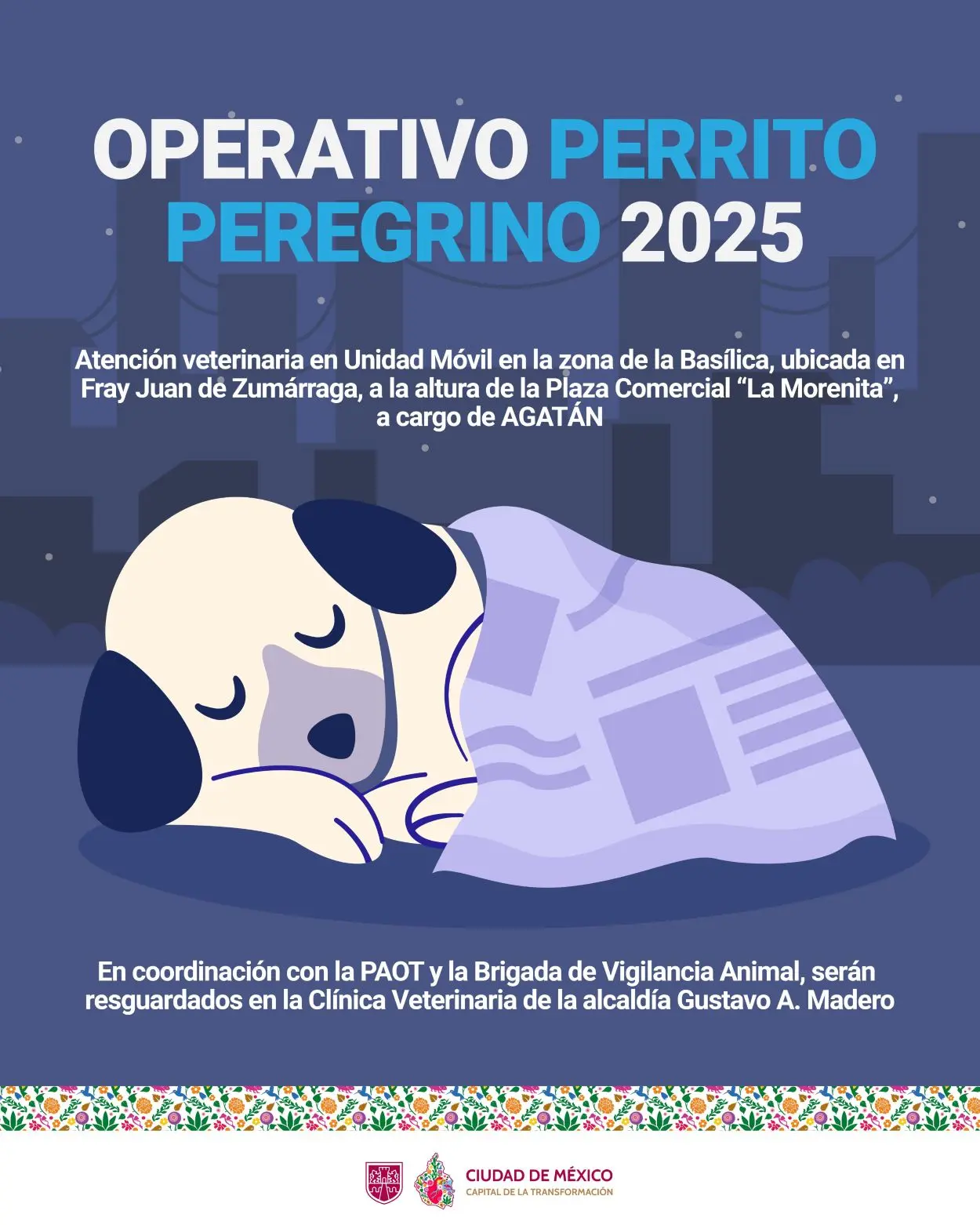 Operativo Perrito Peregrino 2025 en la CDMX. Foto: Cortesía
