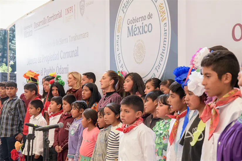 En total suman 6 mil 26 hectáreas reconocidas. Foto: Cortesía