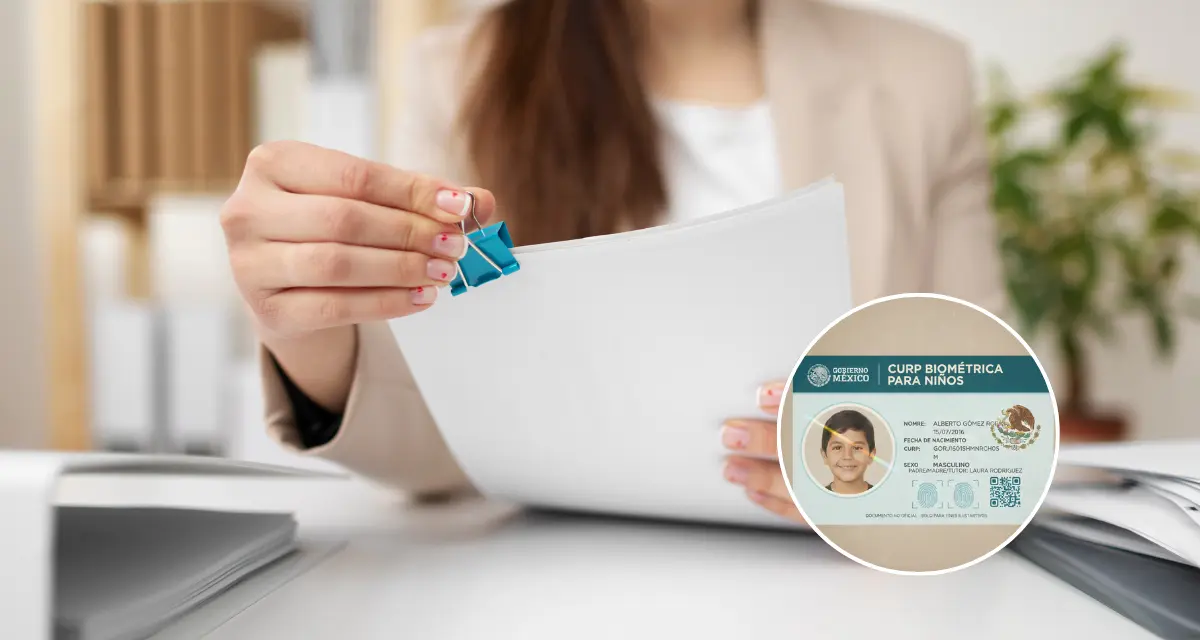 Estos son los documentos necesarios para poder tramitar la CURP biométrica para niños. Foto: Freepik.