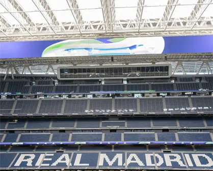 EL LOBO NECESITA UN CONEJO