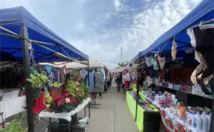 El Tianguis de la Flores Magón: un ícono del comercio mazatleco que evoluciona con la comunidad