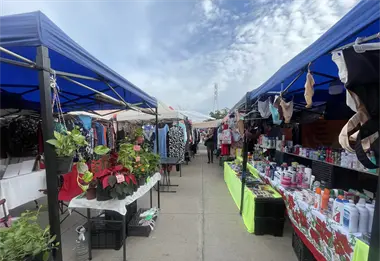 El Tianguis de la Flores Mag&oacute;n: un &iacute;cono del comercio mazatleco que evoluciona con la comunidad