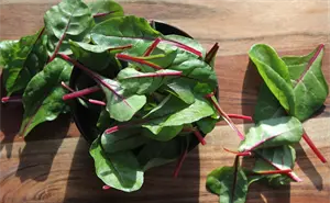 ¿Cuál es la verdura más recomendada para comer en invierno?