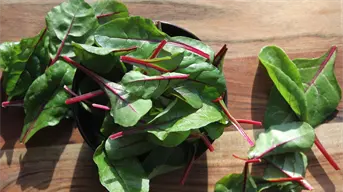 ¿Cuál es la verdura más recomendada para comer en invierno?