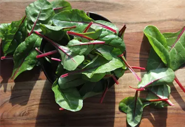 ¿Cuál es la verdura más recomendada para comer en invierno?